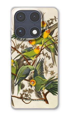 Carolina Parrot