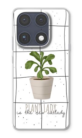 Houseplant on windowpane