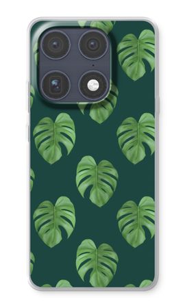 Monstera leaves