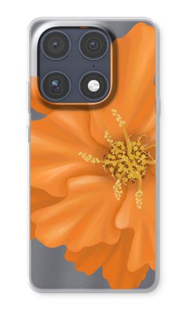 Orange Ellila flower