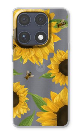 Sunflower and bees