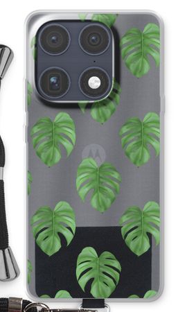 Monstera leaves