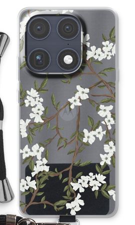 Blossoming spring