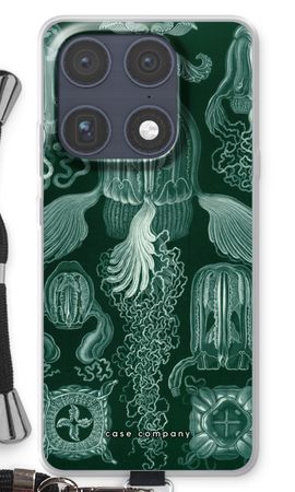 Haeckel Cubomedusae