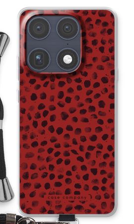 Ladybird Paint