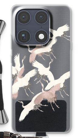 Japanese Crane Birds