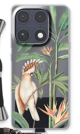 Tropical Parrot