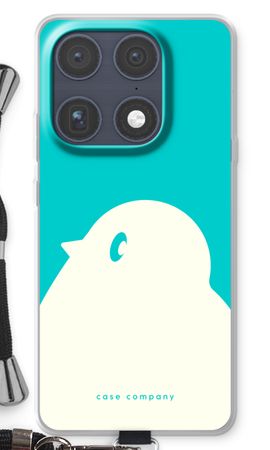 BIG Robin 2