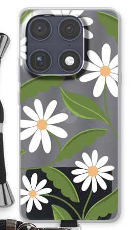 Daisies All Over