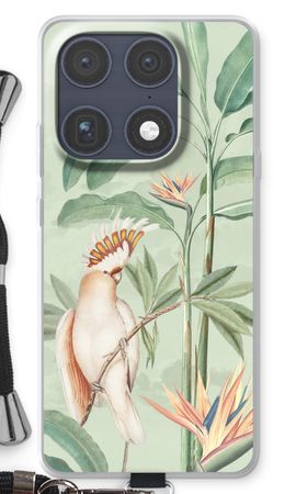 Tropical Parrot