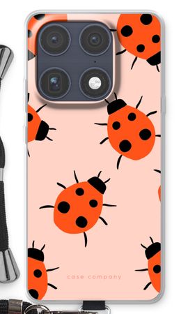 Ladybugs