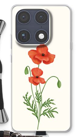 Red poppy