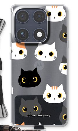 Gatos