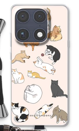 Gatos