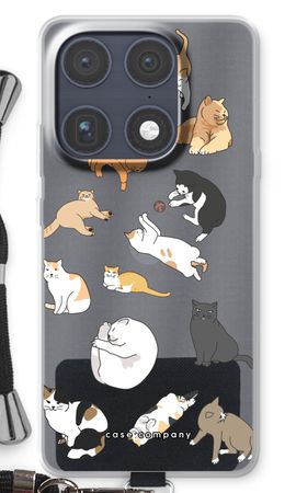 Gatos
