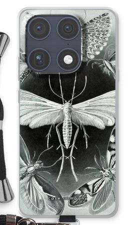 Haeckel Tineida