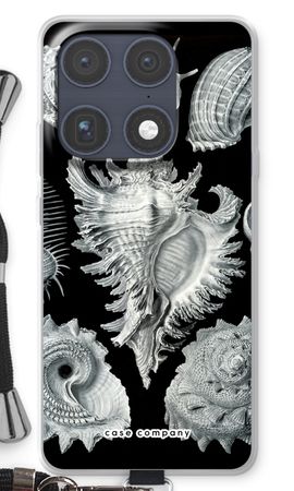 Haeckel Prosobranchia