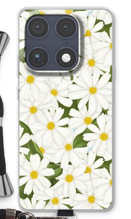 Summer Daisies