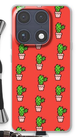 Mini cactus