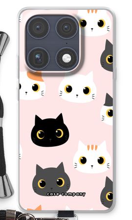 Gatos