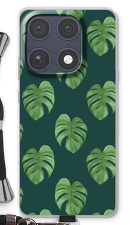 Monstera leaves