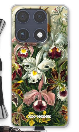 Haeckel Orchidae
