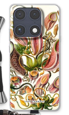 Haeckel Nepenthaceae