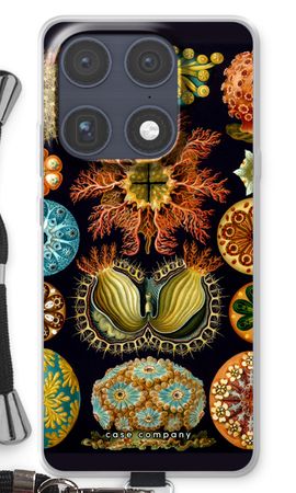 Haeckel Ascidiae