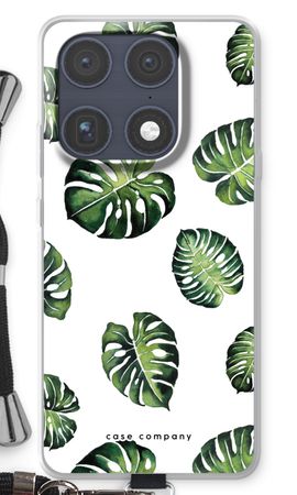 Tropical leaves