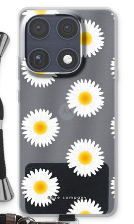 Daisies