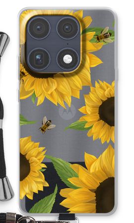 Sunflower and bees