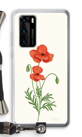 Red poppy