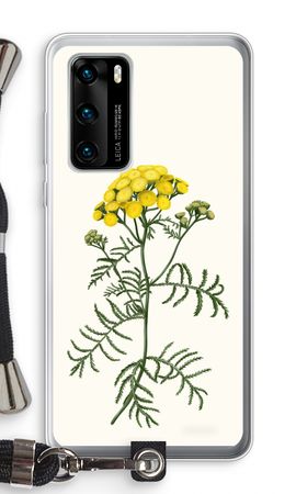Tansy