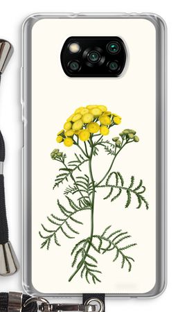 Tansy