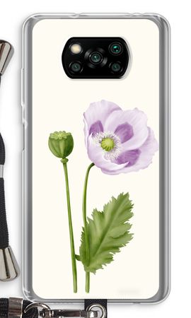 Purple poppy
