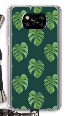 Monstera leaves