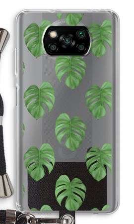 Monstera leaves