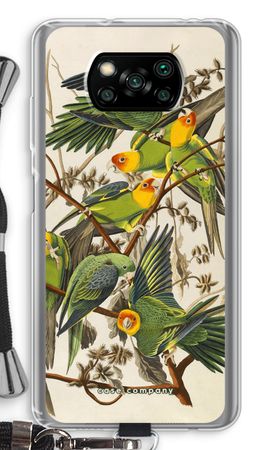 Carolina Parrot