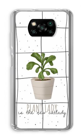 Houseplant on windowpane