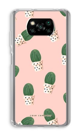 Kaktus rosa