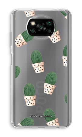 Kaktus rosa