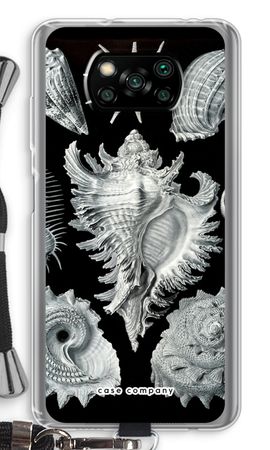 Haeckel Prosobranchia