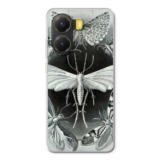 Haeckel Tineida