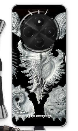 Haeckel Prosobranchia