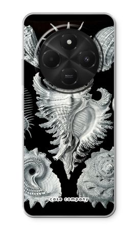 Haeckel Prosobranchia