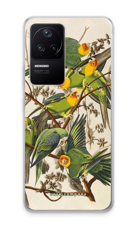Carolina Parrot