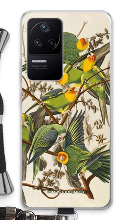 Carolina Parrot