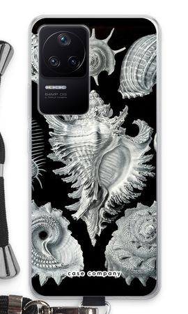 Haeckel Prosobranchia