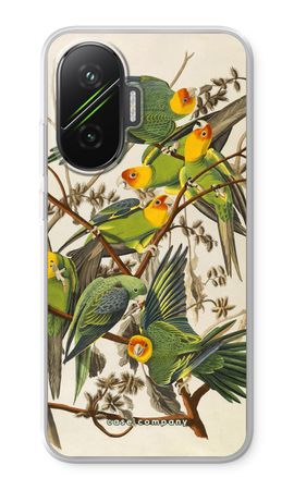 Carolina Parrot