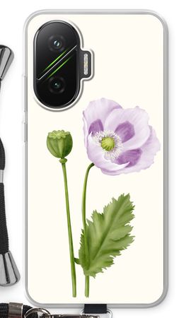 Purple poppy